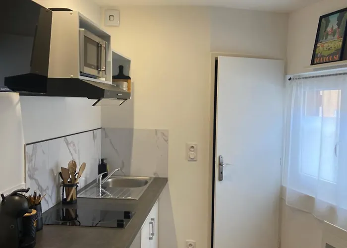 Apartman Le Pti'toulousain 9 - Centre *